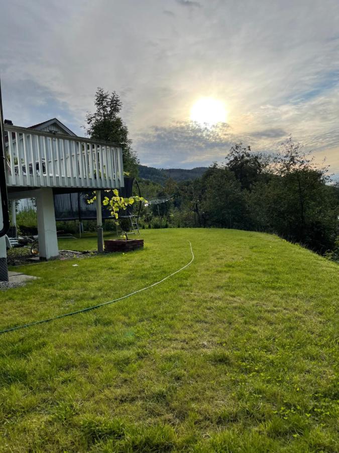 Fin Sentralt Hybel I Drammen Apartment Екстериор снимка